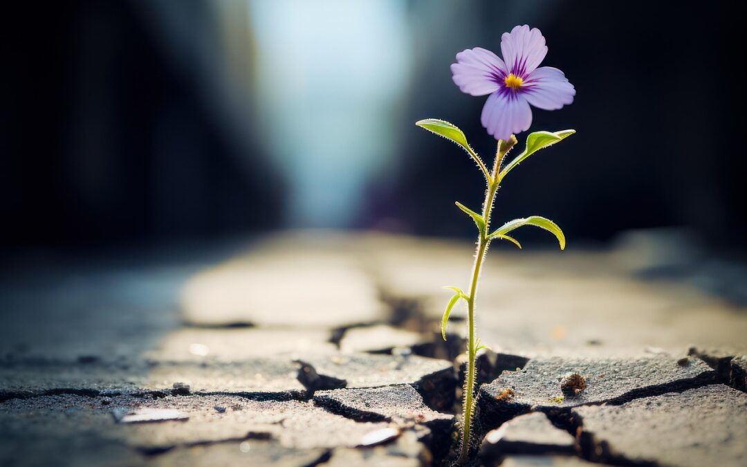 Resilience Starts at the Top: How Leaders Can Equip Their Businesses for Disruption