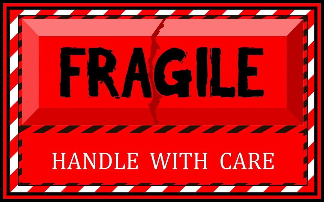 The Rise of Organisational Fragility